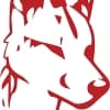 Dingo Dog Brewing Company logo