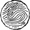 Adamant Brewing & Blending logo