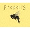 Propolis Brewing logo