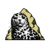 Smuttynose Brewing Co. logo