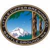 Little Dipper Brewing Company logo