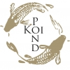 Koi Pond Brewing Company logo