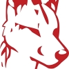 Dingo Dog Brewing Company logo