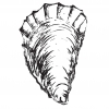 Big Oyster Brewery logo