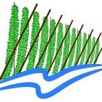 Cowiche Creek logo