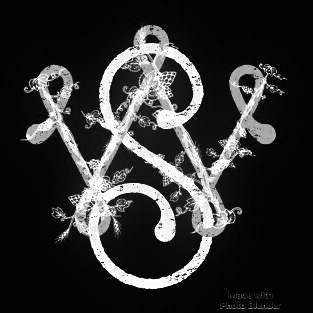 Wild Side Brewing Company logo