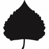 Bosque Brewing (New Mexico) logo