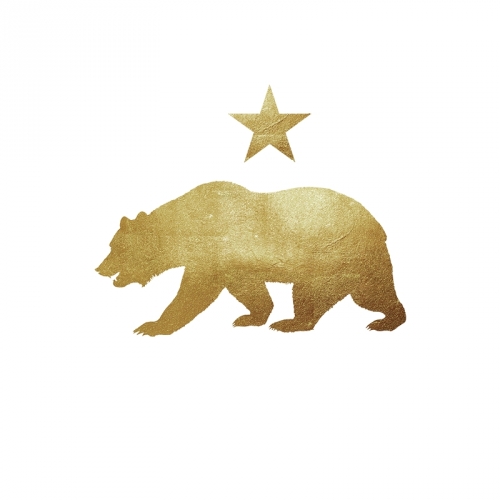 The Beer Co. Inc. logo
