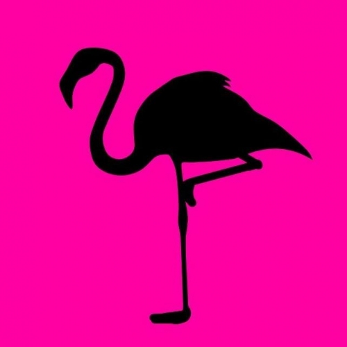 Black Flamingo Brewing Company logo